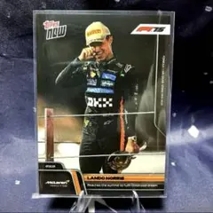 2026年最新】Lando norrisの人気アイテム - メルカリ