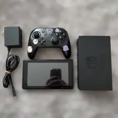 Switch 本体 +PROコン＋ACアダプタ+ドッグ+セット ⚠️要確認