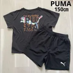 PUMA Tシャツ ショートパンツ セットアップのサムネイル