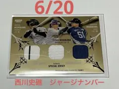 Item thumbnail for item d4d9bbe1-6c87-45f4-b128-2f1c817441fd