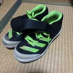 Item thumbnail for item c60116b6-37d6-4ed8-9974-7de8c9ff331b