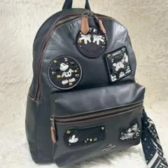 極美品✨ コーチ Disney コラボ ミッキー リュック ワッペン レザー