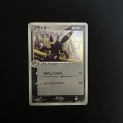 2026年最新】062 ブラッキーの人気アイテム - メルカリ