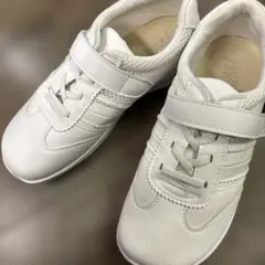 Item thumbnail for item 25141a57-81d6-44e4-aa00-2872a82d107b