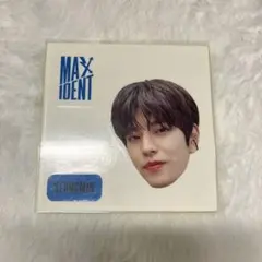 straykids スンミン ステッカー