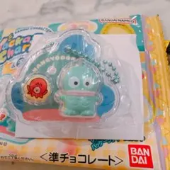 ハンギョドン サンリオキャラクターズ パッケージチャーム&チョコボーロ
