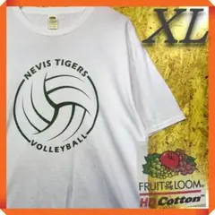 古着USA アメリカ 白Tシャツ オーバーサイズ XL フルーツオブザルーム