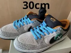 【30cm】NIKE SB サファリ　新品未使用