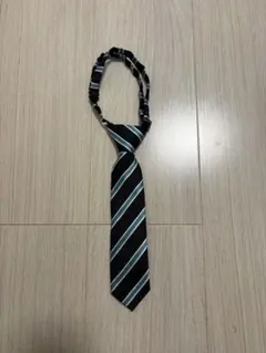 Item thumbnail for item 702fd75c-d511-403e-b78a-e32dc82c2f1f