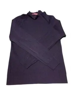 ZARA　ダークネイビー タートルネック セーター