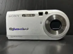 2026年最新】dsc-p100の人気アイテム - メルカリ
