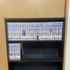 いのちの器 1-95 ※76抜 94冊 セット まとめ 上原きみ子 - メルカリ