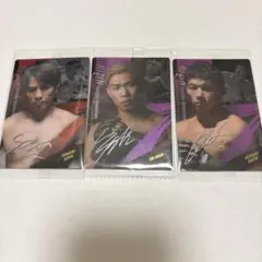 RIZINウエハース