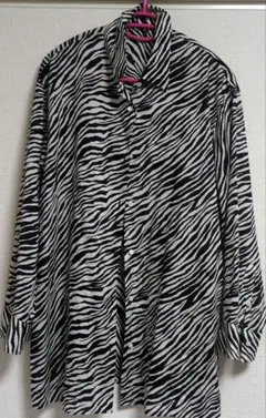 BEAUTY&YOUTH ゼブラ柄 長袖シャツ