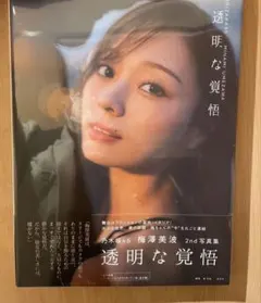 Item thumbnail for item 75bb5952-e8e8-4290-b697-d32354e4ccf4