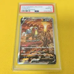 2026年最新】エンテイv psa10の人気アイテム - メルカリ