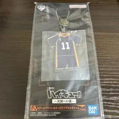 ハイキュー!! 一番くじ Ｆ賞 月島蛍