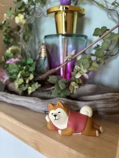 廃盤品 デコレ（DECOLE）「コンコンブル（concombre）」うとうと柴犬