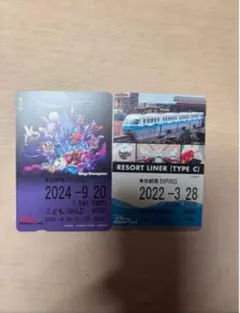2026年最新】ディズニーリゾートラインフリー切符の人気アイテム