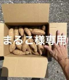まるこ様専用　種子島産　安納芋　こがね　2Sサイズ　2kg