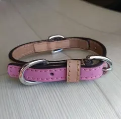 Item thumbnail for item 727a2f1b-fe06-4fa8-a703-cc7ba704672b