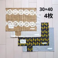 ランチマット　女の子⑰　30×40　ランチョンマット　バスケット薄＆ミモザ