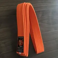 Item thumbnail for item e4fa88bb-3266-4f66-8097-29efe94a48f3