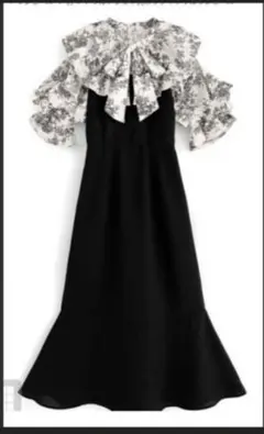 Item thumbnail for item 0b390e99-ec59-483a-adc6-6a73275141c6