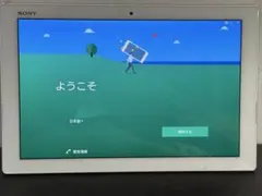 Item thumbnail for item d9f322bd-0656-48aa-ab76-ebd3e8078389