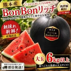 尾花沢すいか 甘い ！ブラックジャック 訳あり 6L玉 尾花沢すいか 甘い ！ブラックジャック 訳あり 6L玉 - メルカリ