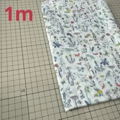 Item thumbnail for item 2a794e6b-c1a4-44b5-81bf-7444b185d289