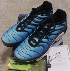 NIKE AIR MAX PLUS HYPER BLUEマップラ ブルー2018