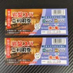 【値下げ】天然温泉 湯の華温泉 岩盤スパご招待券 2枚セット