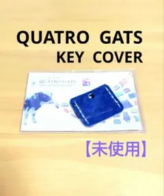 ♦QUATRO GATS •キーケース 青色
