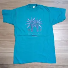 90s USA製 フルーツオブザルーム ヴィンテージTシャツ L ターコイズ