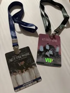 RIIZE VIP コンサート　チケット　トレカ　ネックストラップ　ライズ RIIZE VIP RIIZIG DAY、LOUDネックストラップ チケット - メルカリ