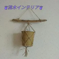 流木 麻紐 エアプランツホルダー ハンギング マクラメ 西海岸風 サーフ