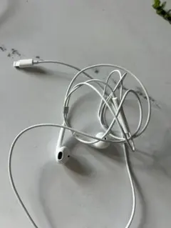 ホワイト 有線イヤホン Lightning