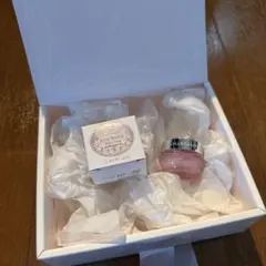 新品JILLSTUARTリップマスク ホワイトフローラルBOX付ギフト