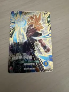 SDV4-009 孫悟飯:少年期　GDR