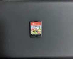 Minecraft Nintendo Switch ソフトのみ