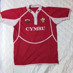 Item thumbnail for item a35c6982-0c41-40d3-9acf-00f338e64386