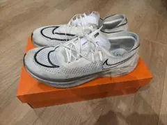 【25.5cm】Nike ストリークフライ