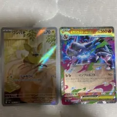 ワンパチ & メガリザードンex トレーディングカード