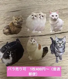 Item thumbnail for item 6fe26908-734b-4e1d-8bb1-06f21a680312