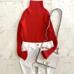 美品 アドーア ADORE クリアドライリブニット オレンジレッド 38