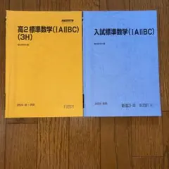 駿台 高2標準数学 入試標準数学 2冊セット
