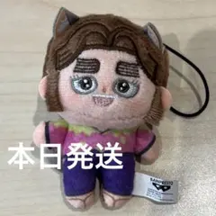 忍たま乱太郎 平滝夜叉丸 ナンジャタウン ほわぬい ぬいぐるみ マスコット