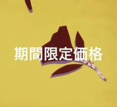 代官山 TAMBURINS ノベルティ テリア チャーム 風船 限定ショッパー