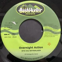 忘れておしまい - RYO the SKYWALKER レコード ジャパレゲ - メルカリ